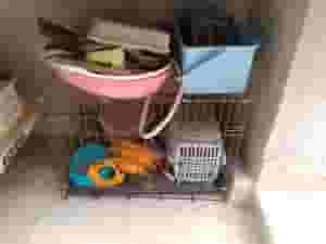 Cat supplies