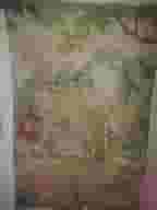 بطنطا شقة مفروشة مكيفة للايجار