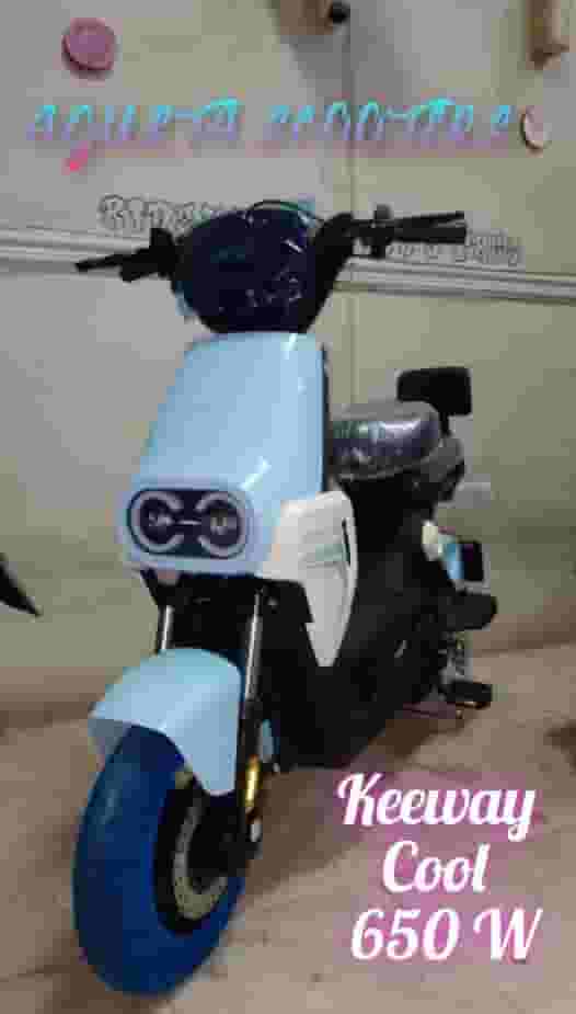 Kiwi Cool 650 watt electric scooter