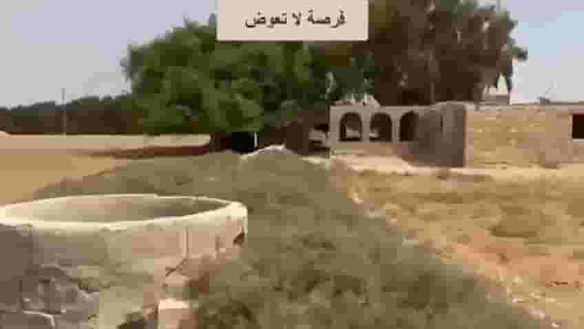 أرض 12.5 فدان مسجلة عقد أخضر واجهة على الأسفلت - الصف/أطفيح