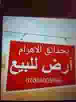 للبيع أرض خدمات تجاري بحدائق الأهرام 4000 متر 
