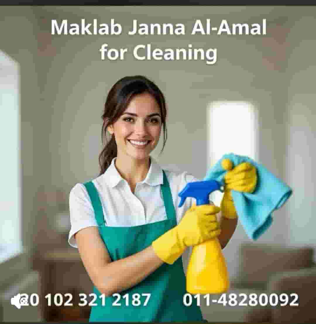 The paradise of hope for cleanliness