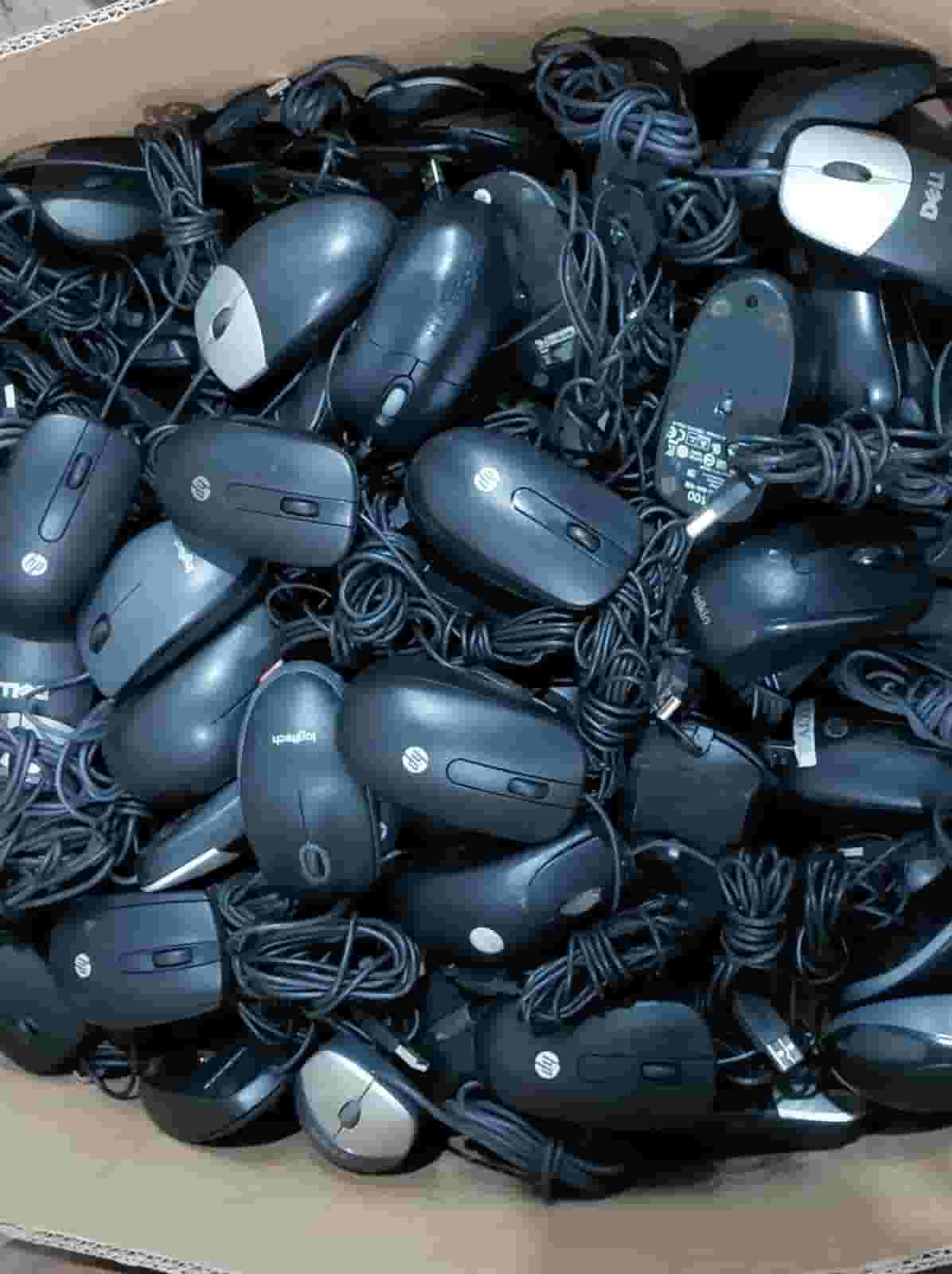 Alamak Mousas Company offers