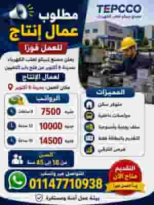 يعلن مصنع تيبكو لعلب الكهرباء عن فتح باب التعيين لعمال الإنتاج