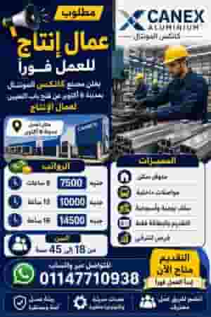 يعلن مصنع كانكس المونتال عن فتح باب التعيين لعمال الإنتاج