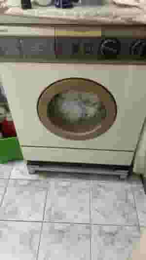 Zanussi 5 kg full automatic washing machine
