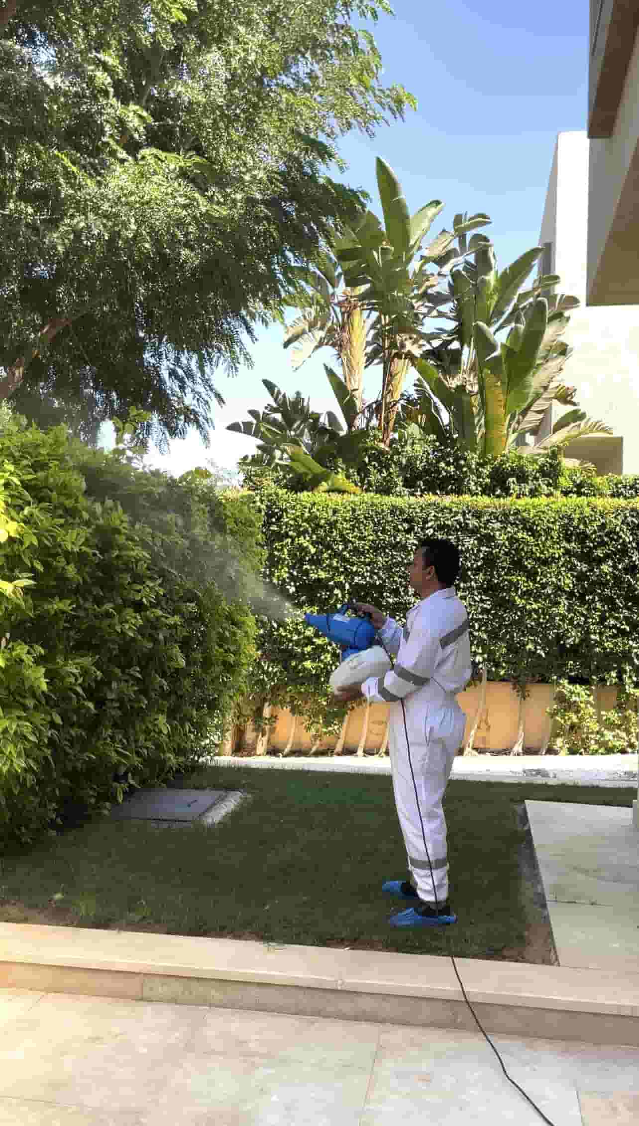 I eliminate ants and bed bugs in the summer in less than 24 hours with the German company