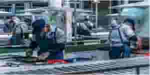 Vegetable packaging worker
