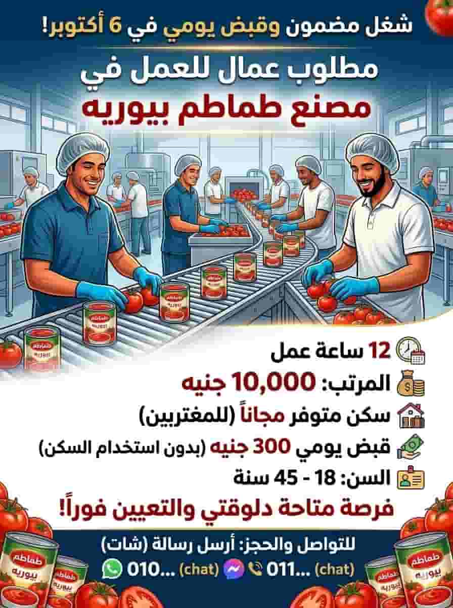Purée tomato factory