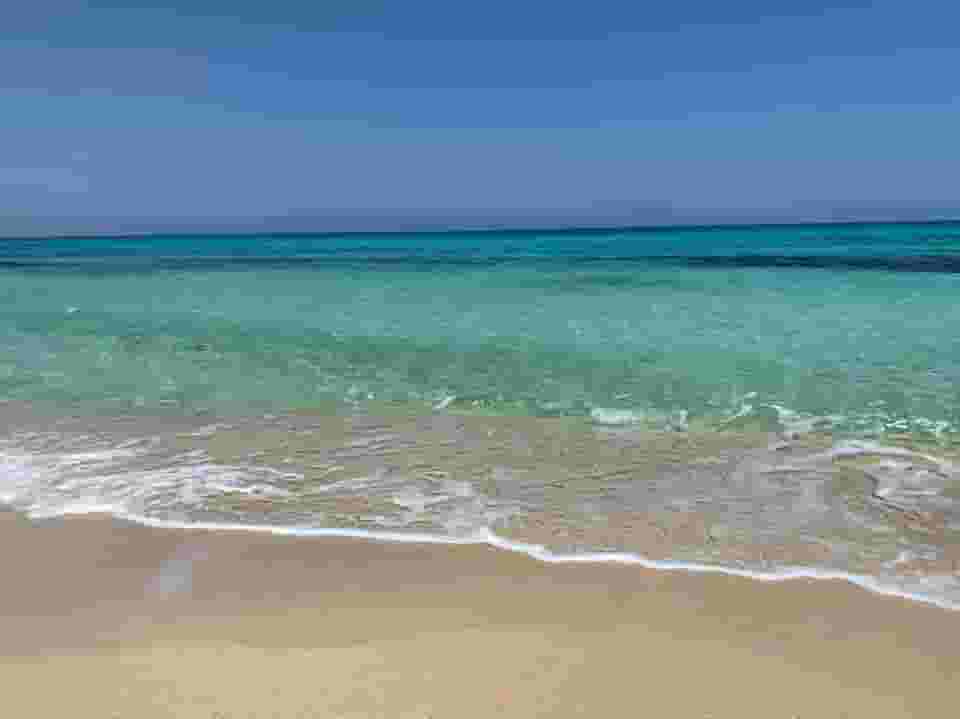 Once again, you will have Nimra Bahr with a down payment of 250 thousand and the rest will be paid for you. You will have an excellent view of the sea with a super lux finish