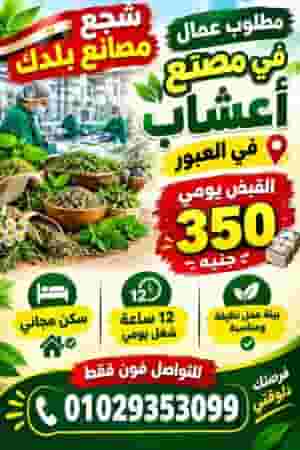 مصنع أعشاب