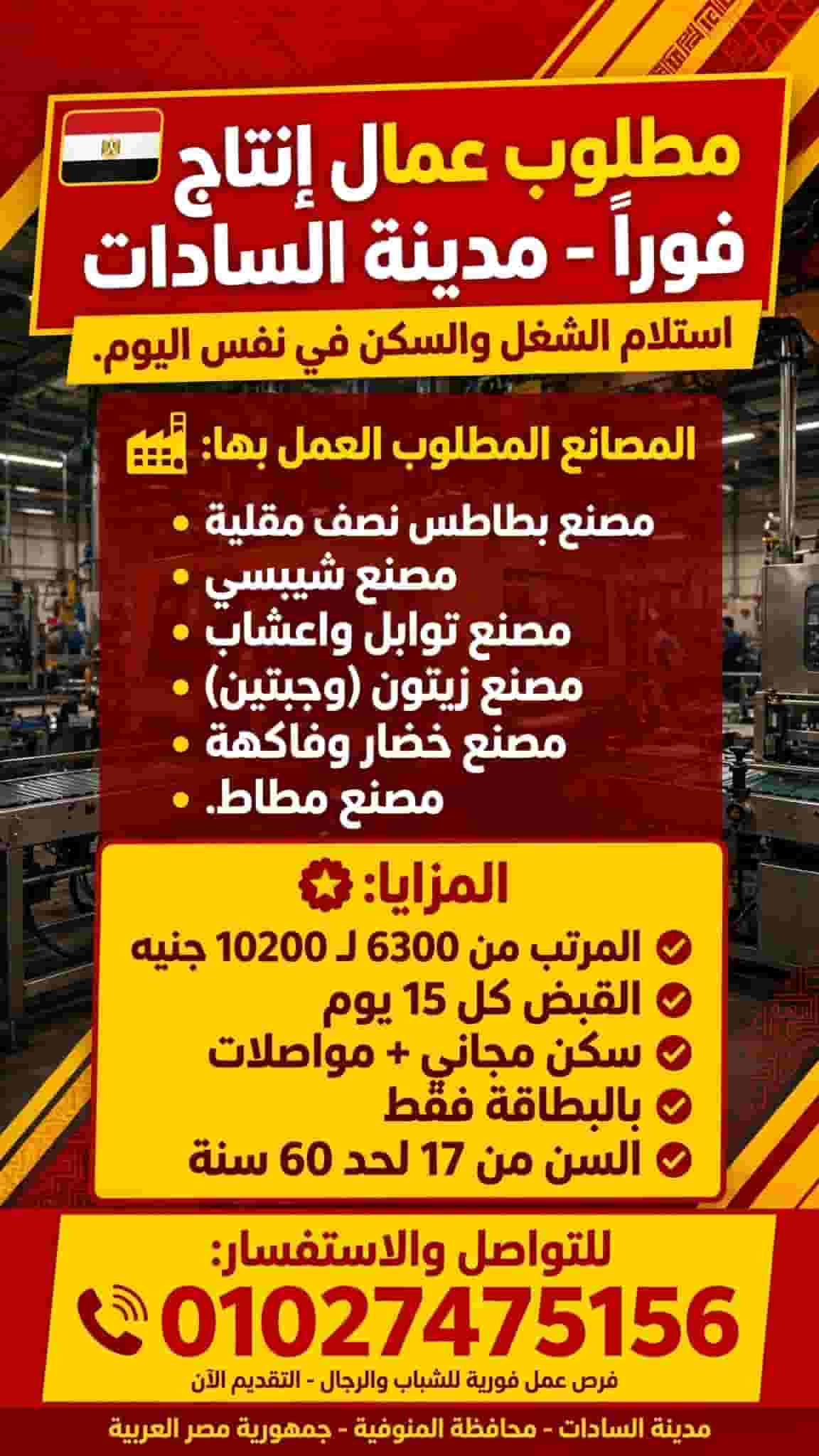 Job in Sadat City