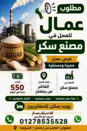 Workers are required for the sugar factory