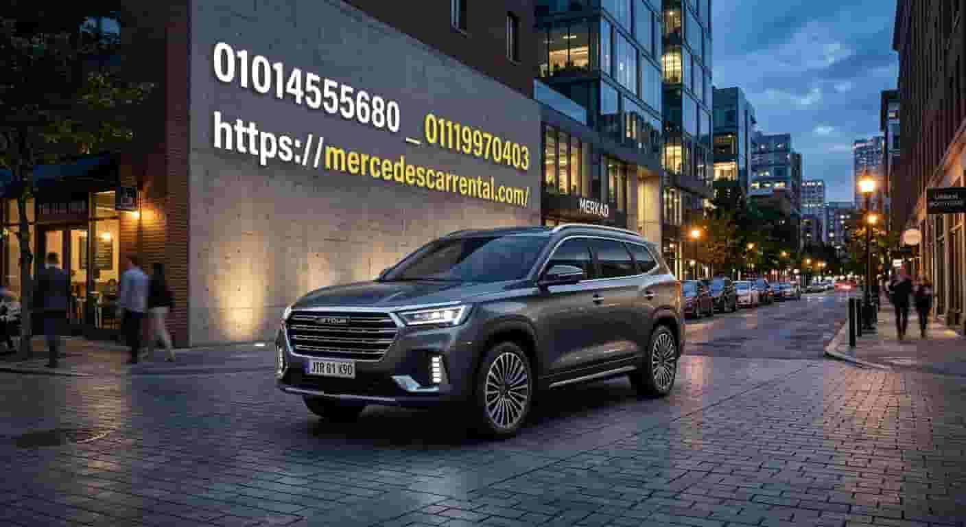 Professional drivers: a luxurious and safe driving experience