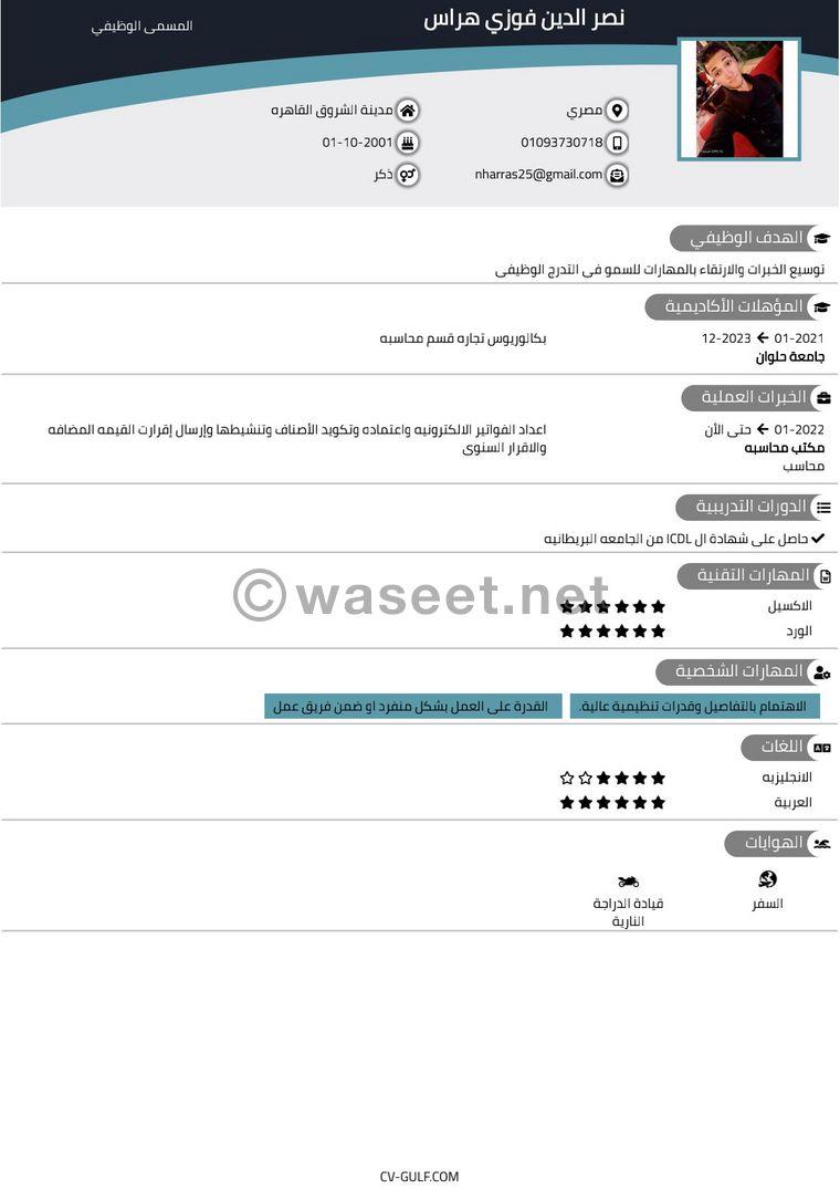 محاسب يبحث عن فرصه عمل بدوام جزئي عن بعد  3