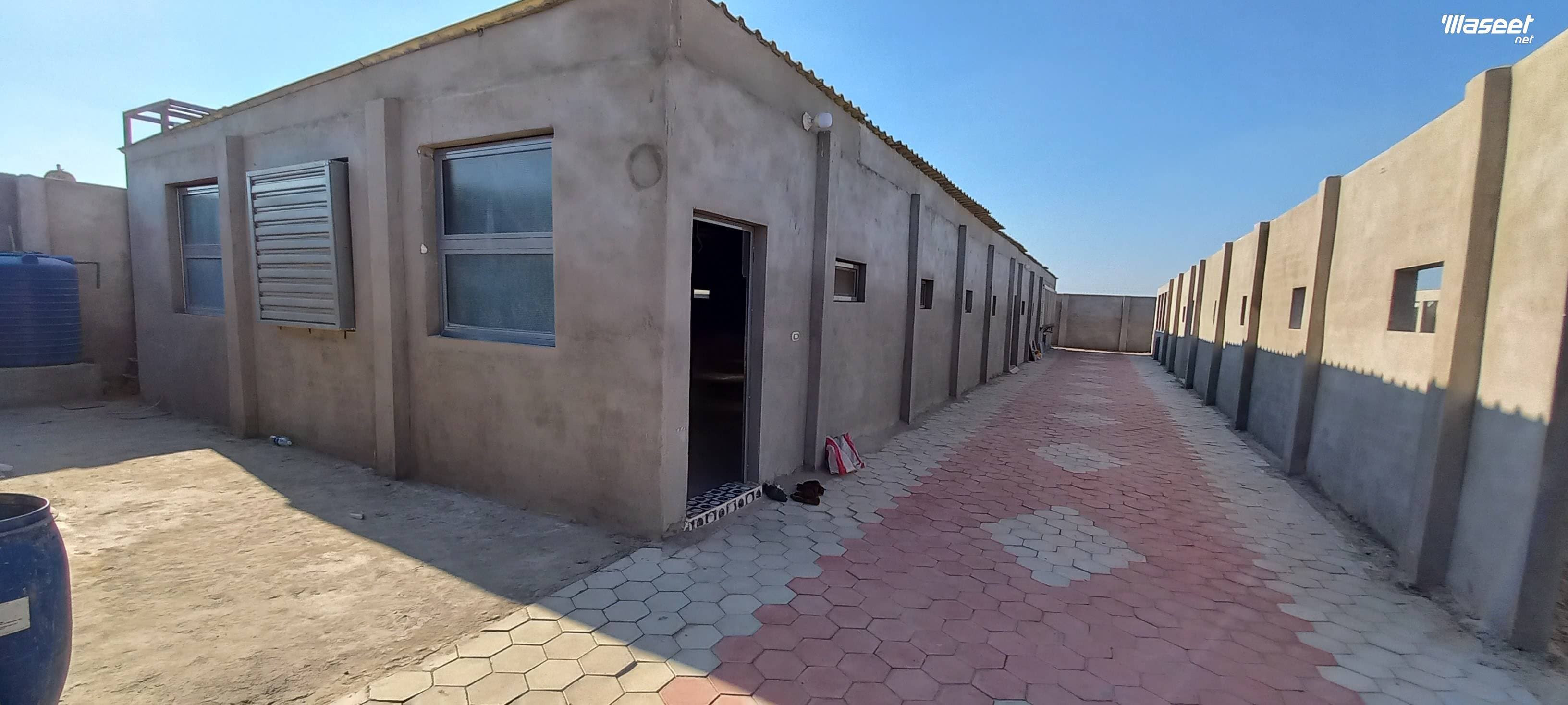مزرعه للبيع بشركه الاتحاد 4