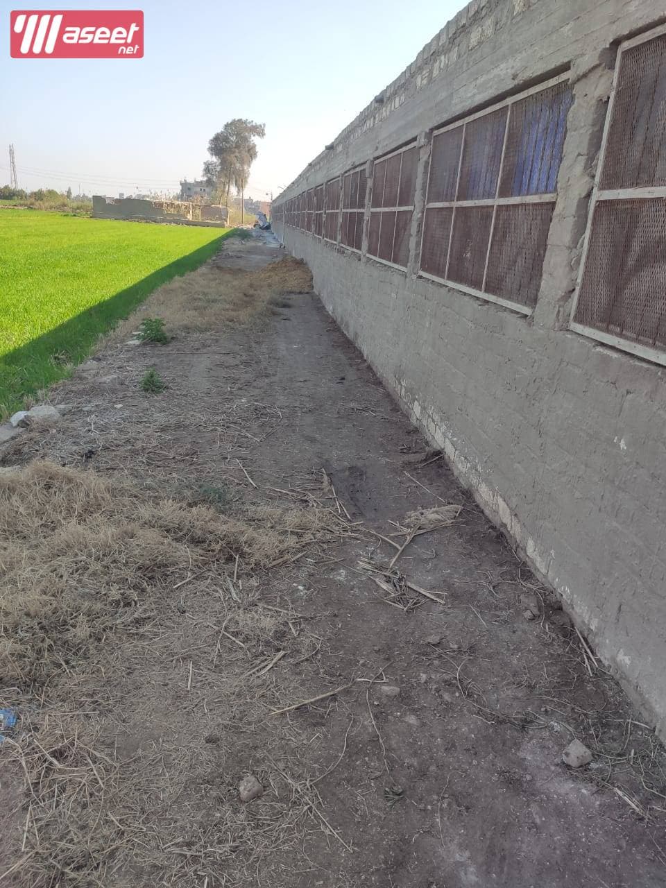 Poultry farm for sale in Mansoura 3