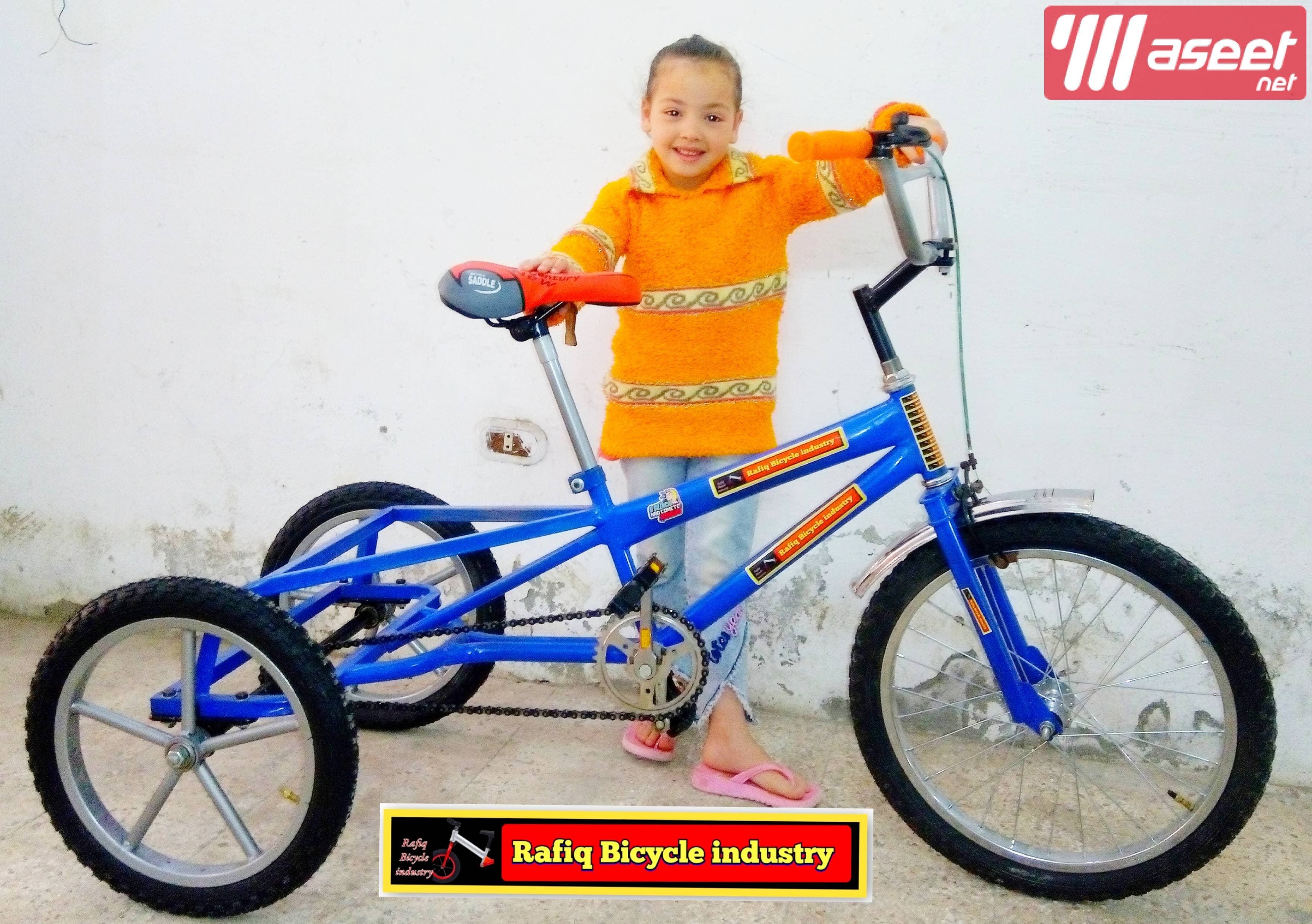 Special bikes for transportation, shopping and entertainment for adults 1