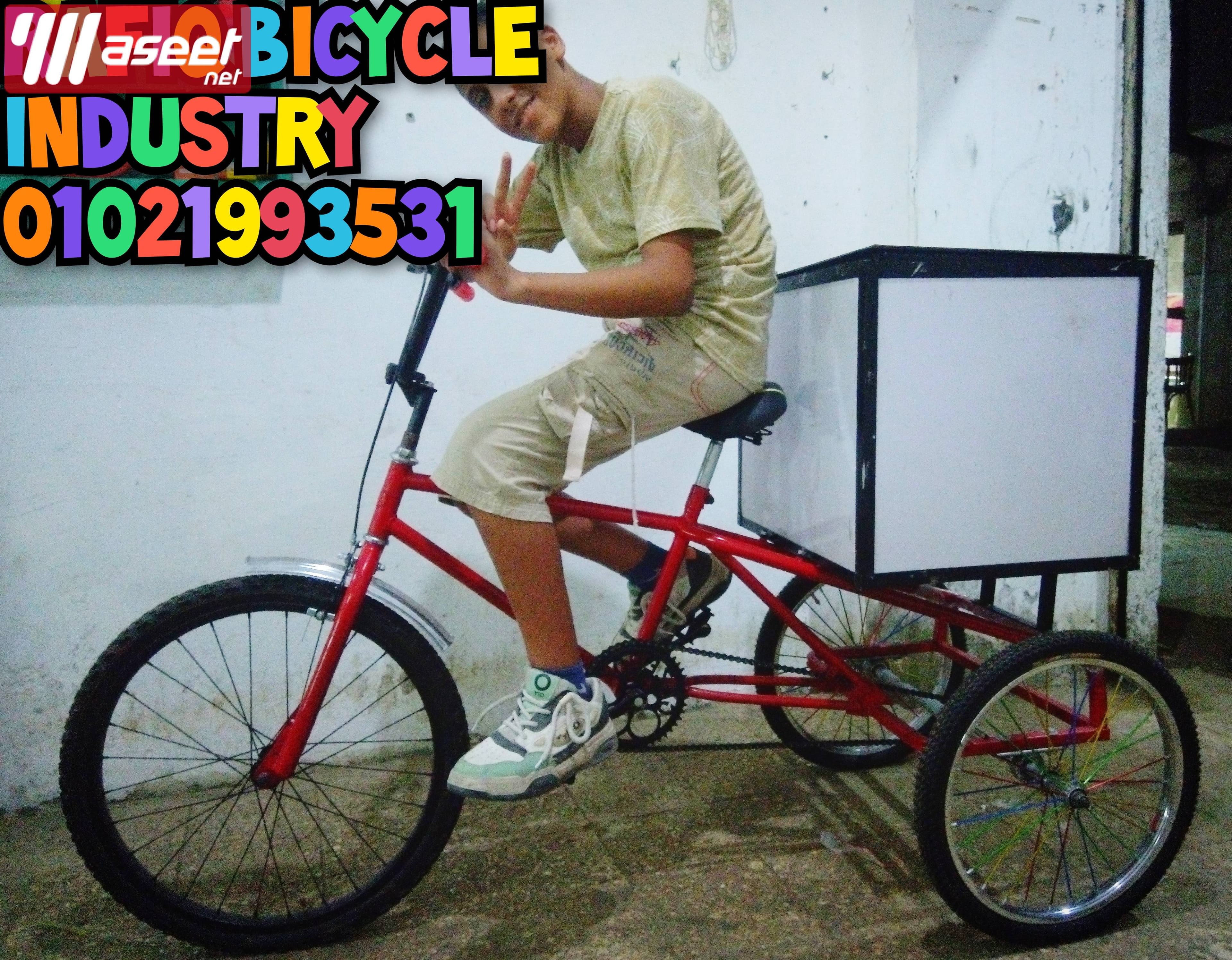 Special bikes for transportation, shopping and entertainment for adults 3