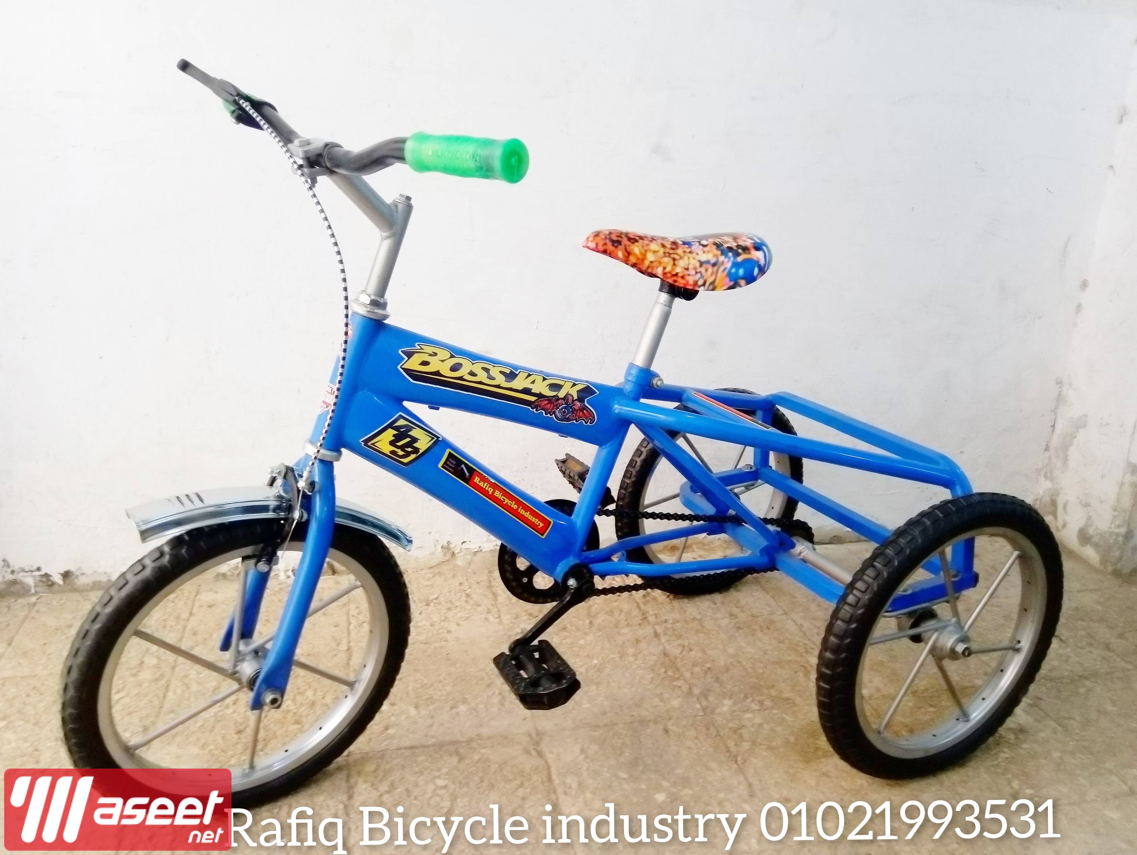 Special bikes for transportation, shopping and entertainment for adults 5