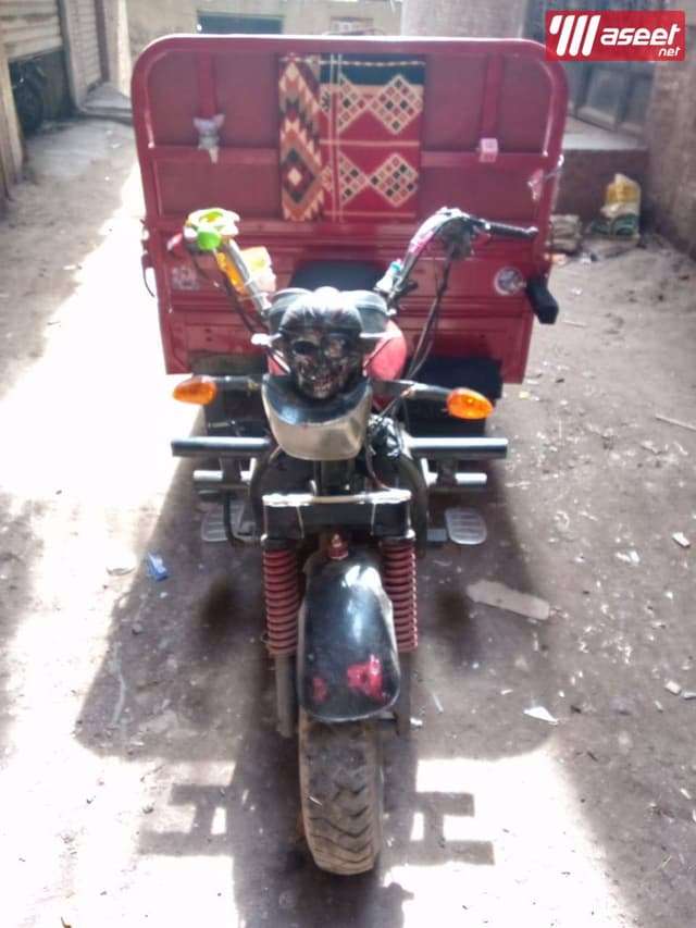 For sale, a 200 cc project trucycle