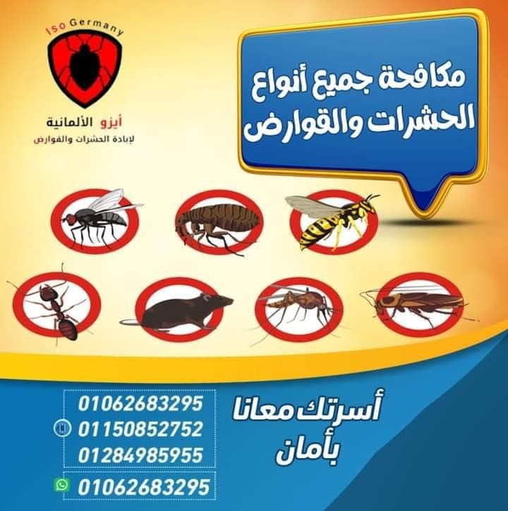 الشركة الألمانية لإبادة الحشرات والقوارض 0