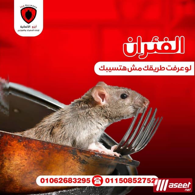 الشركة الألمانية لإبادة الحشرات والقوارض