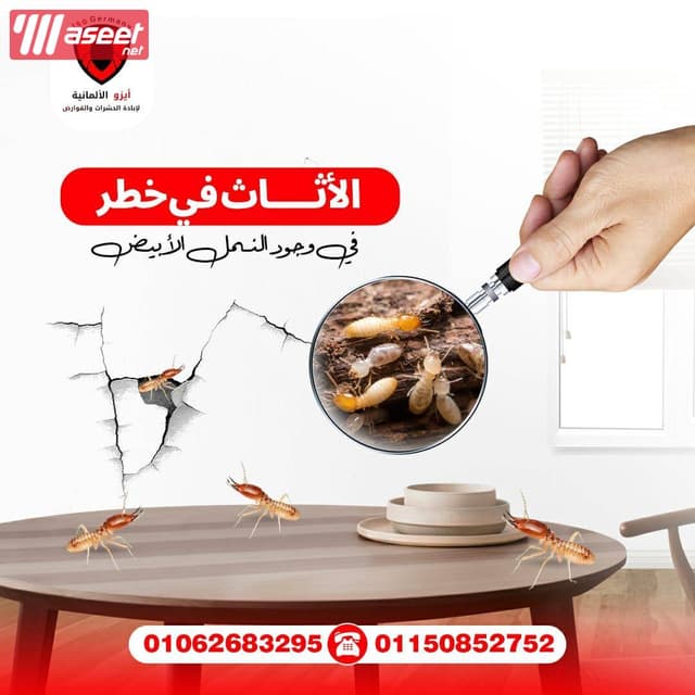 الشركة الألمانية لإبادة الحشرات والقوارض