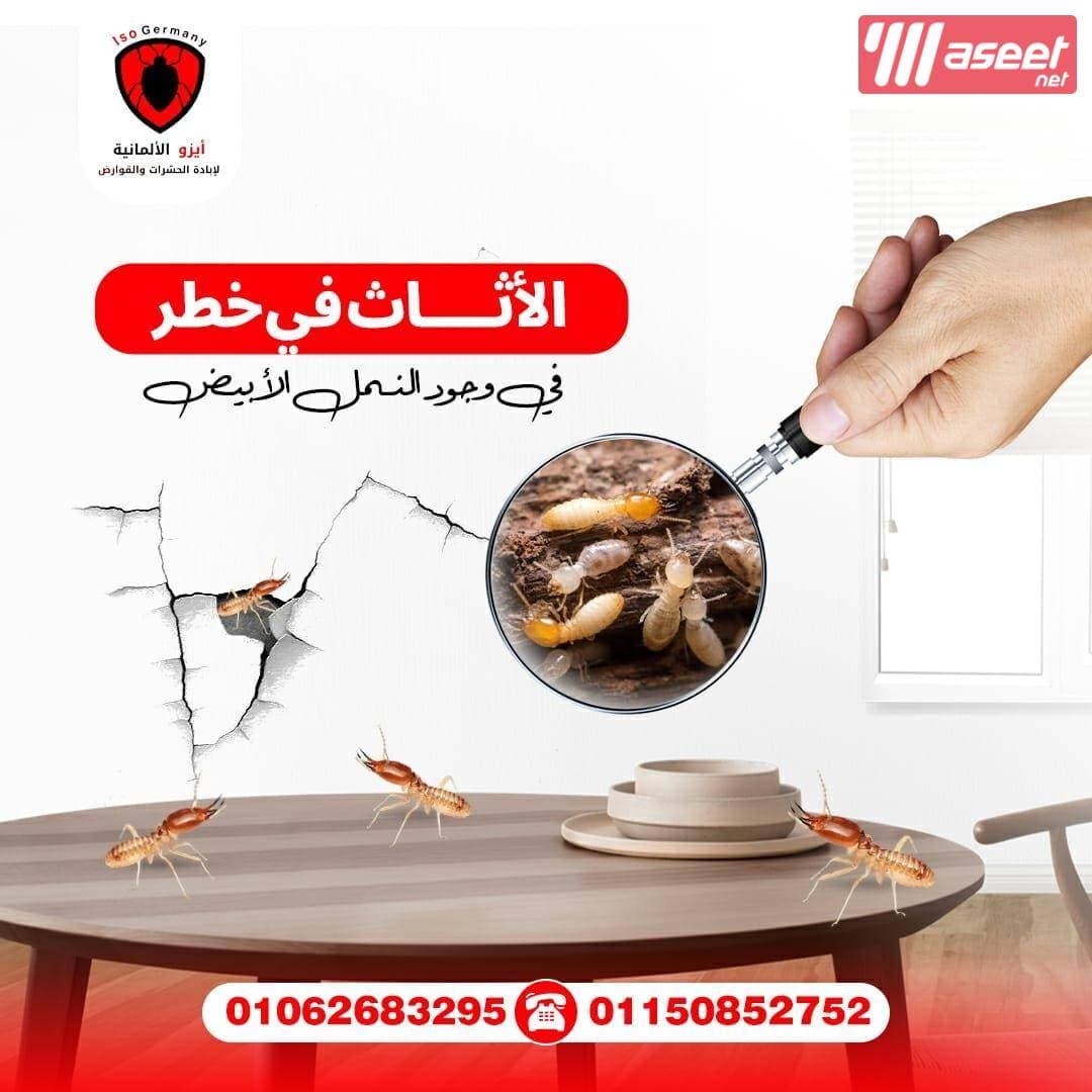 الشركة الألمانية لإبادة الحشرات والقوارض تقدم لكم عرض خاص 2