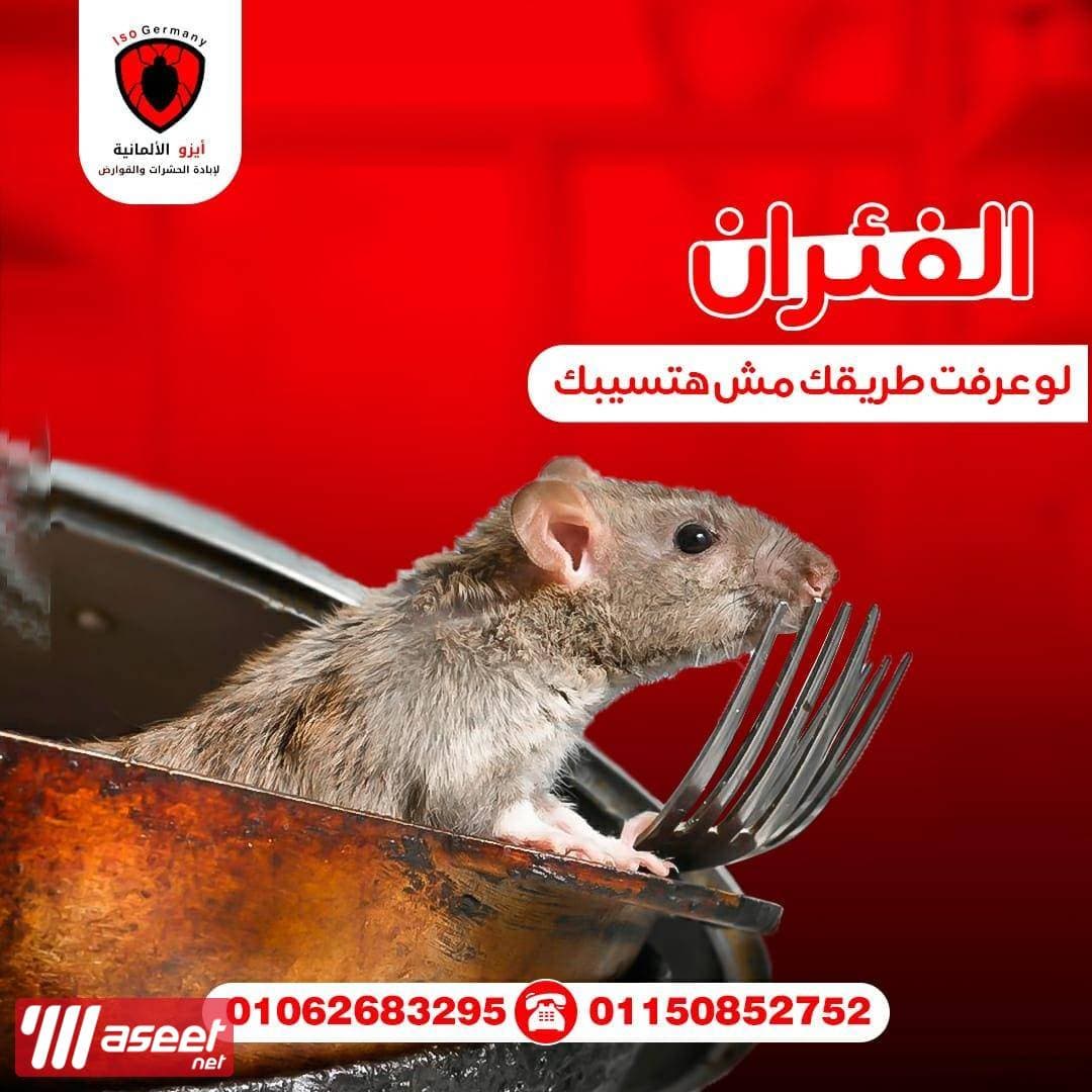الشركة الألمانية لإبادة الحشرات والقوارض تقدم لكم عرض خاص 3