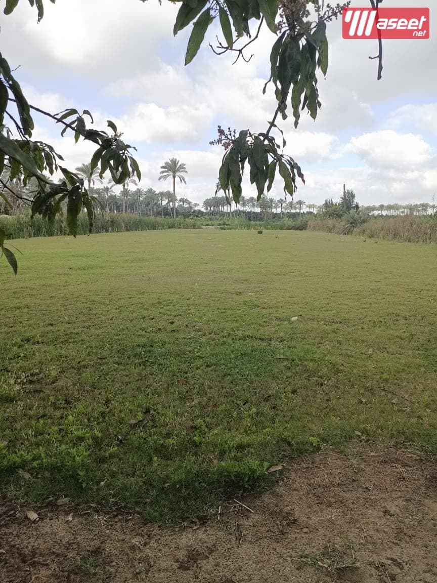 Agricultural land for sale 39 karat Ismailia Suez road 0
