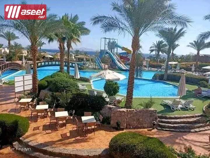 Rooms for rent in Sharm El Sheikh hotels at the lowest prices 3