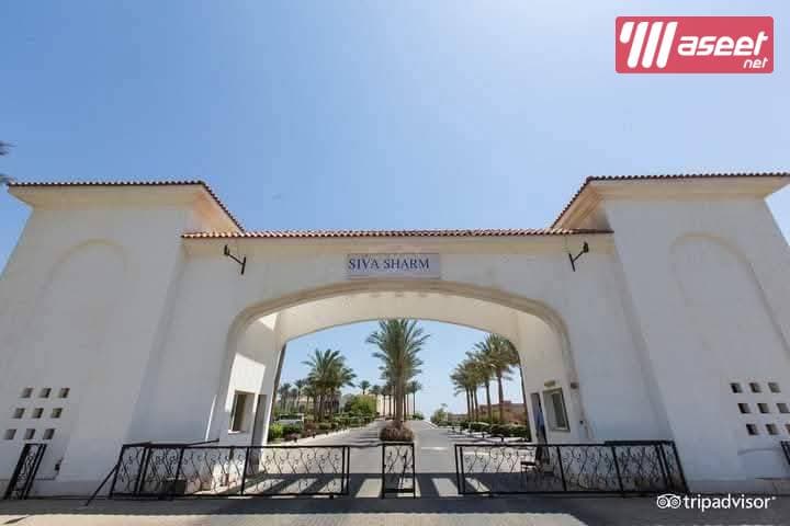 Rooms for rent in Sharm El Sheikh hotels at the lowest prices 4