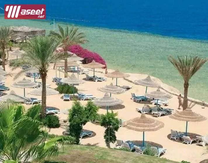 Rooms for rent in Sharm El Sheikh hotels at the lowest prices 8