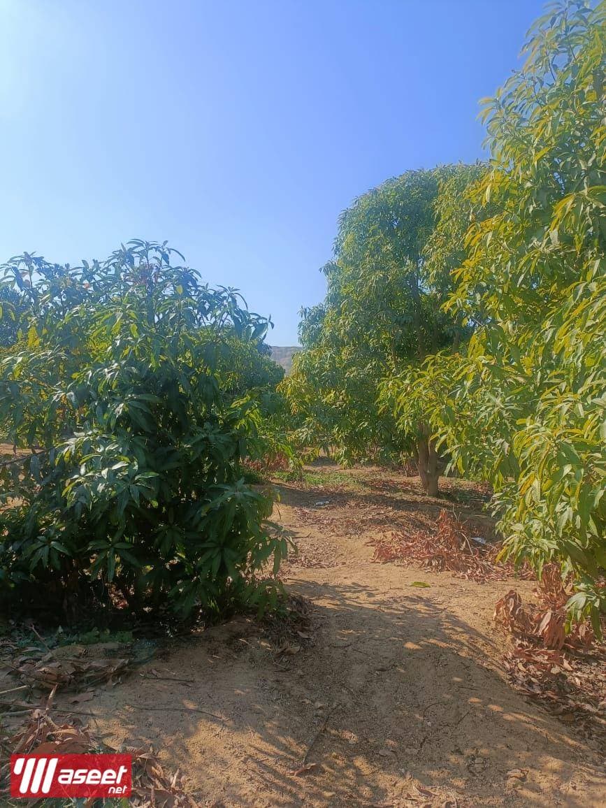Farm for sale 10 acres with separate entrance 0