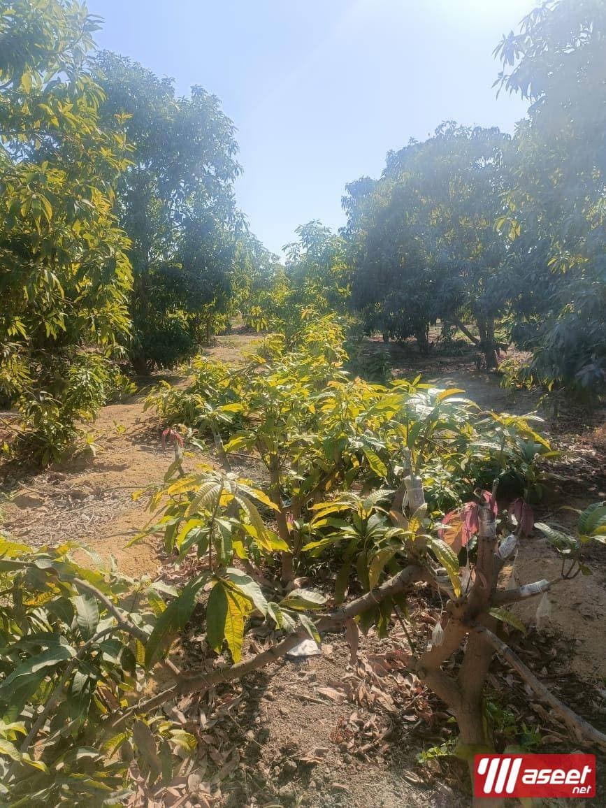 Farm for sale 10 acres with separate entrance 1