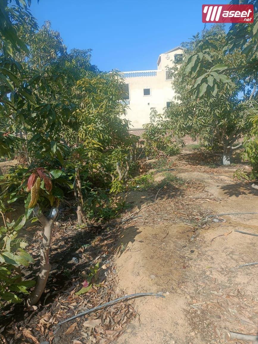 Farm for sale 10 acres with separate entrance 2