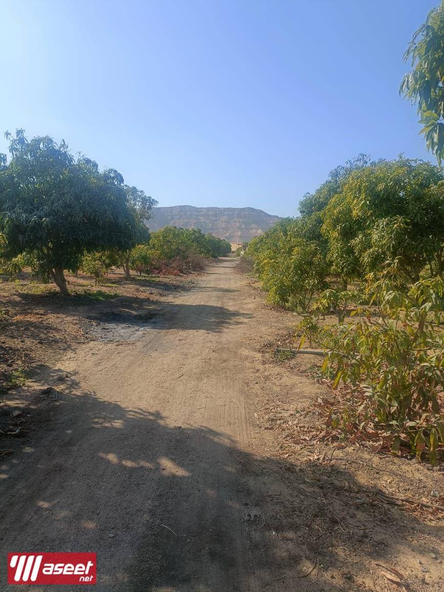 Farm for sale 10 acres with separate entrance 3