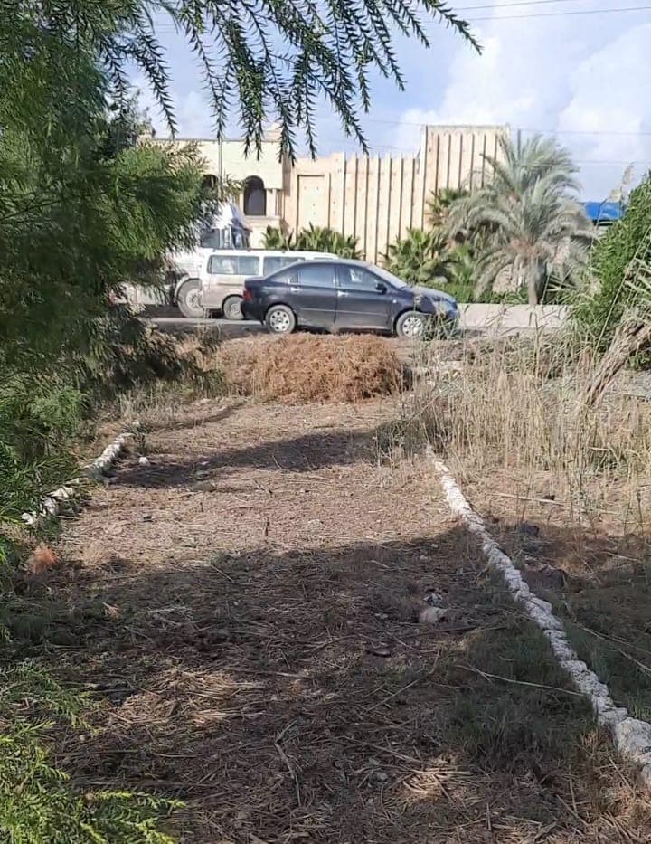 Ali agricultural nursery for sale directly 0