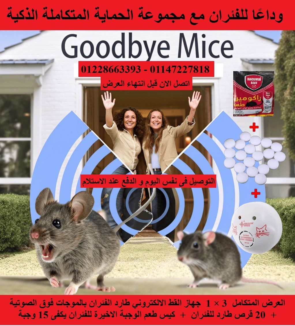مكافحة حشرات 0