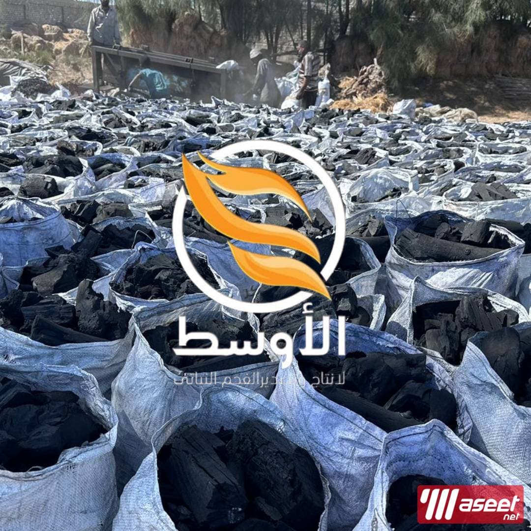فحم الجازورينا النباتي مشاوي . فحم نباتي 2