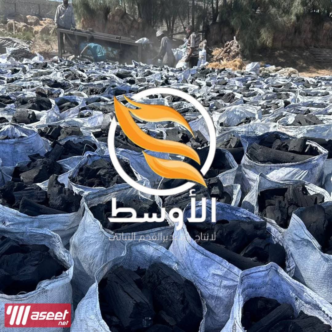 فحم الجازورينا النباتي مشاوي . فحم نباتي 3