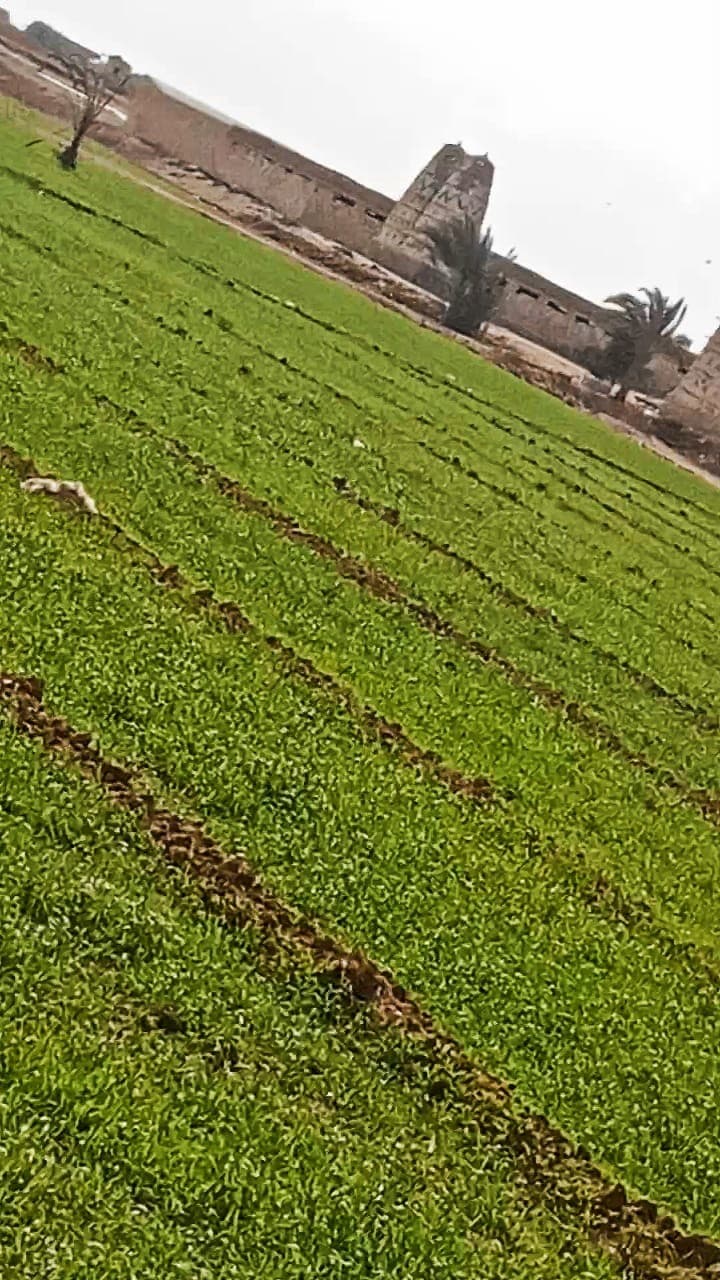 Agricultural land at an excellent price 0