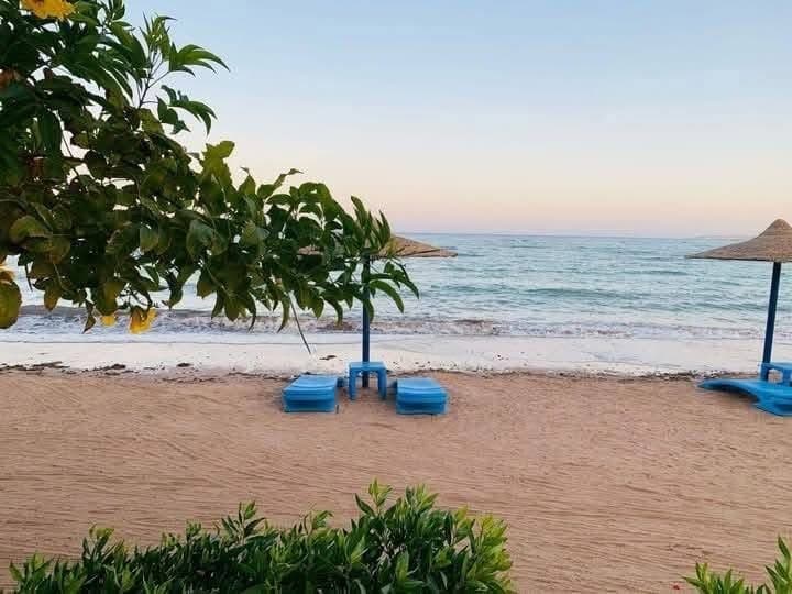 Rooms for rent in Sea Sky Hurghada 0