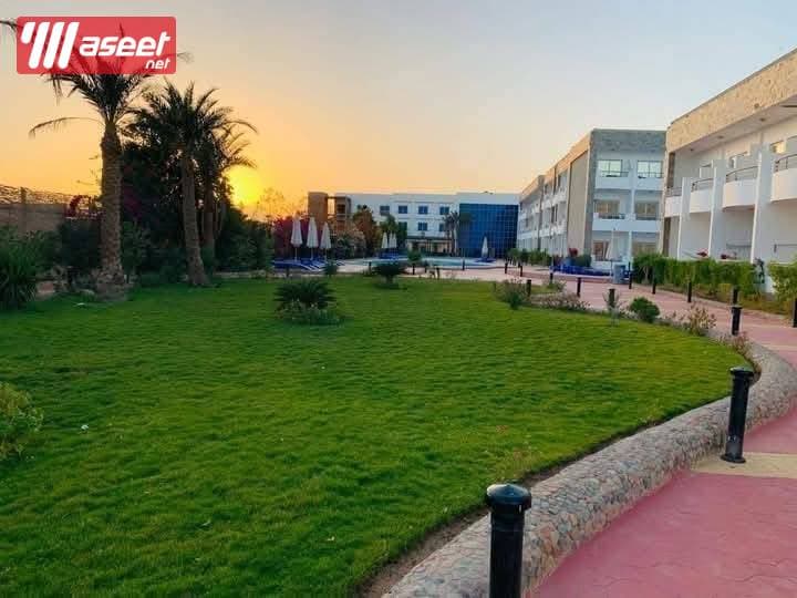 Rooms for rent in Sea Sky Hurghada 7