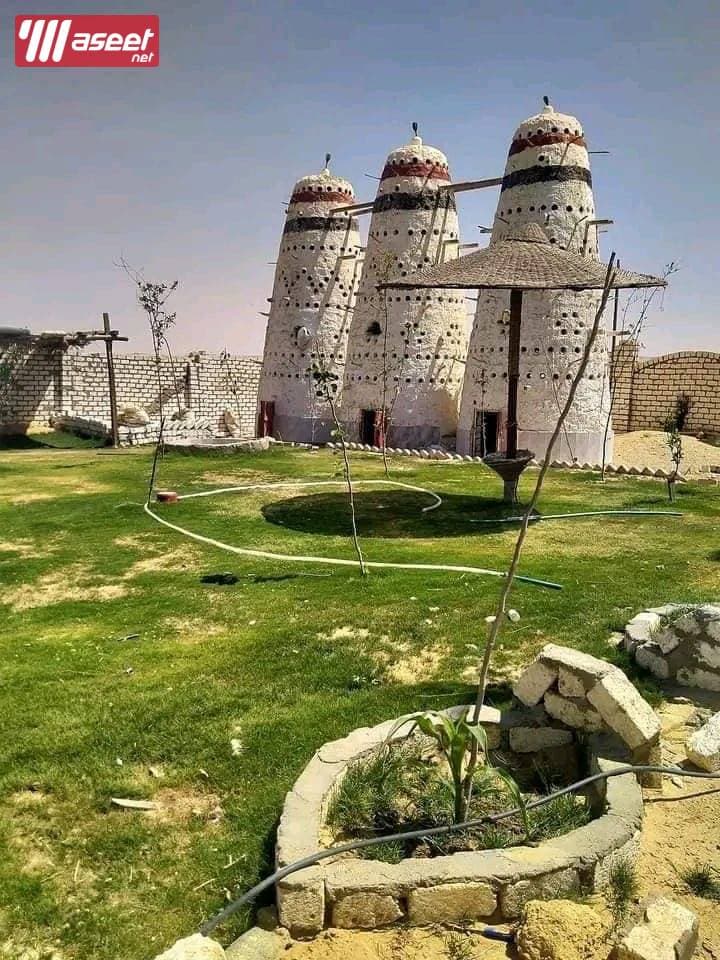 Investment lands 2