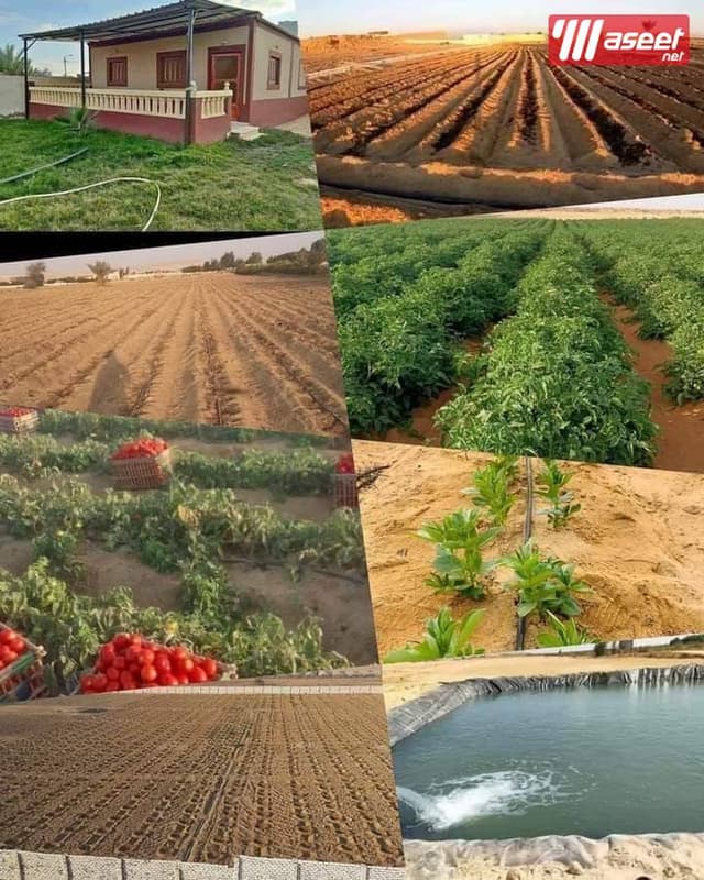Investment lands