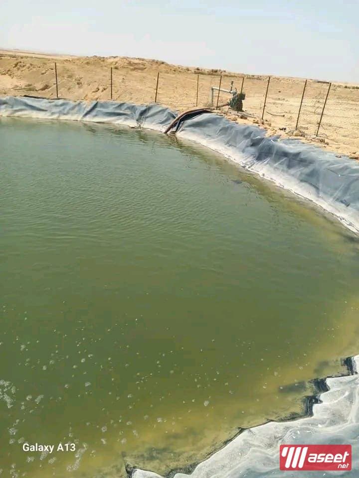Investment lands 9