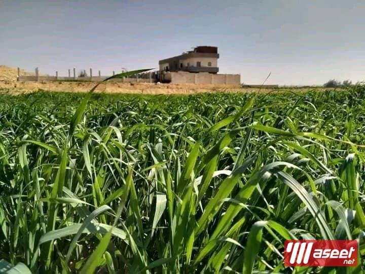 Investment lands 8