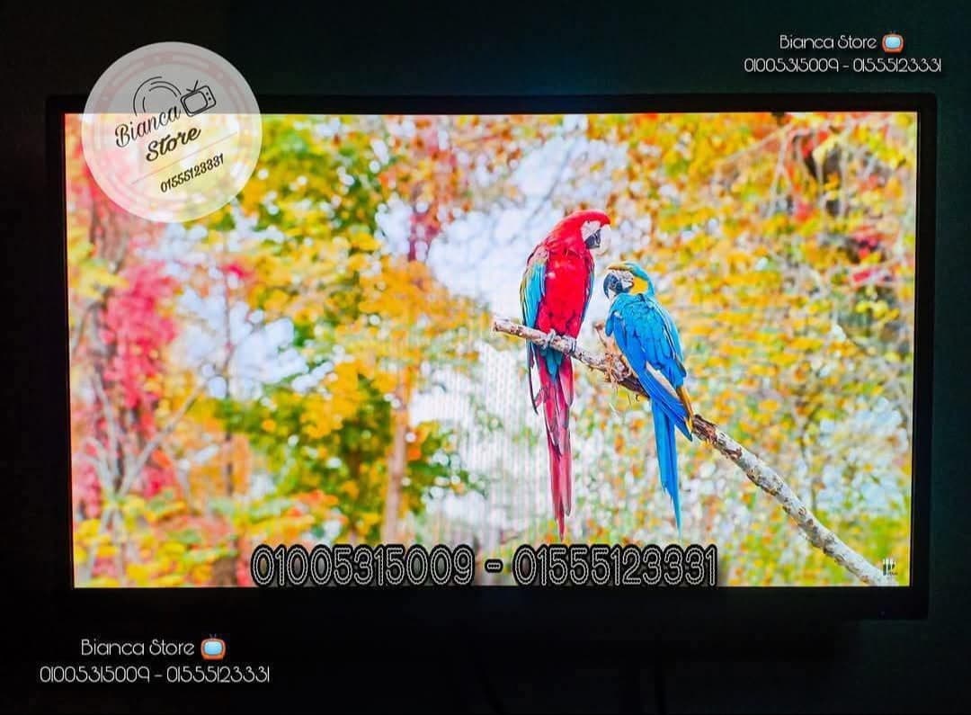 24 inch LED FHD IPS screens and IPTV receiver   0